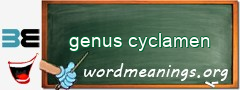 WordMeaning blackboard for genus cyclamen